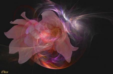 Le monde virtuel, un Amour bien r�el....